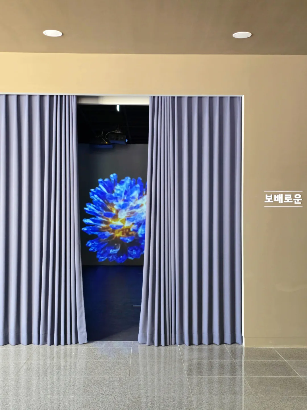 소나무미디어숲 사진 11