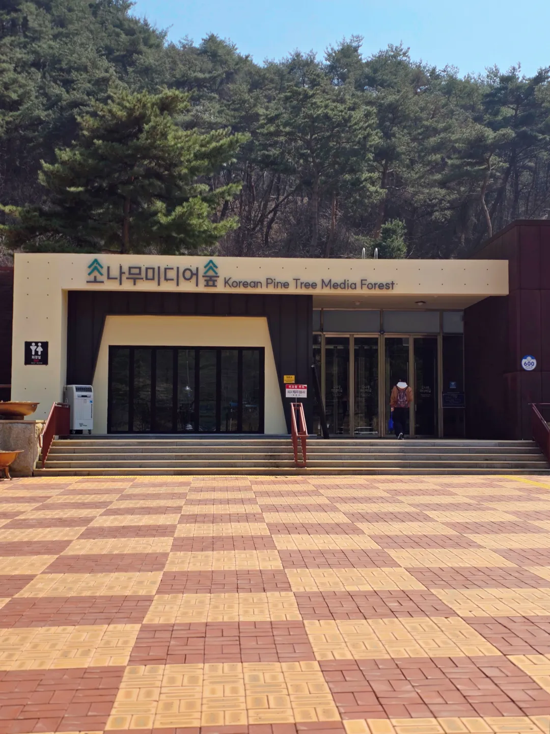 소나무미디어숲 사진 12