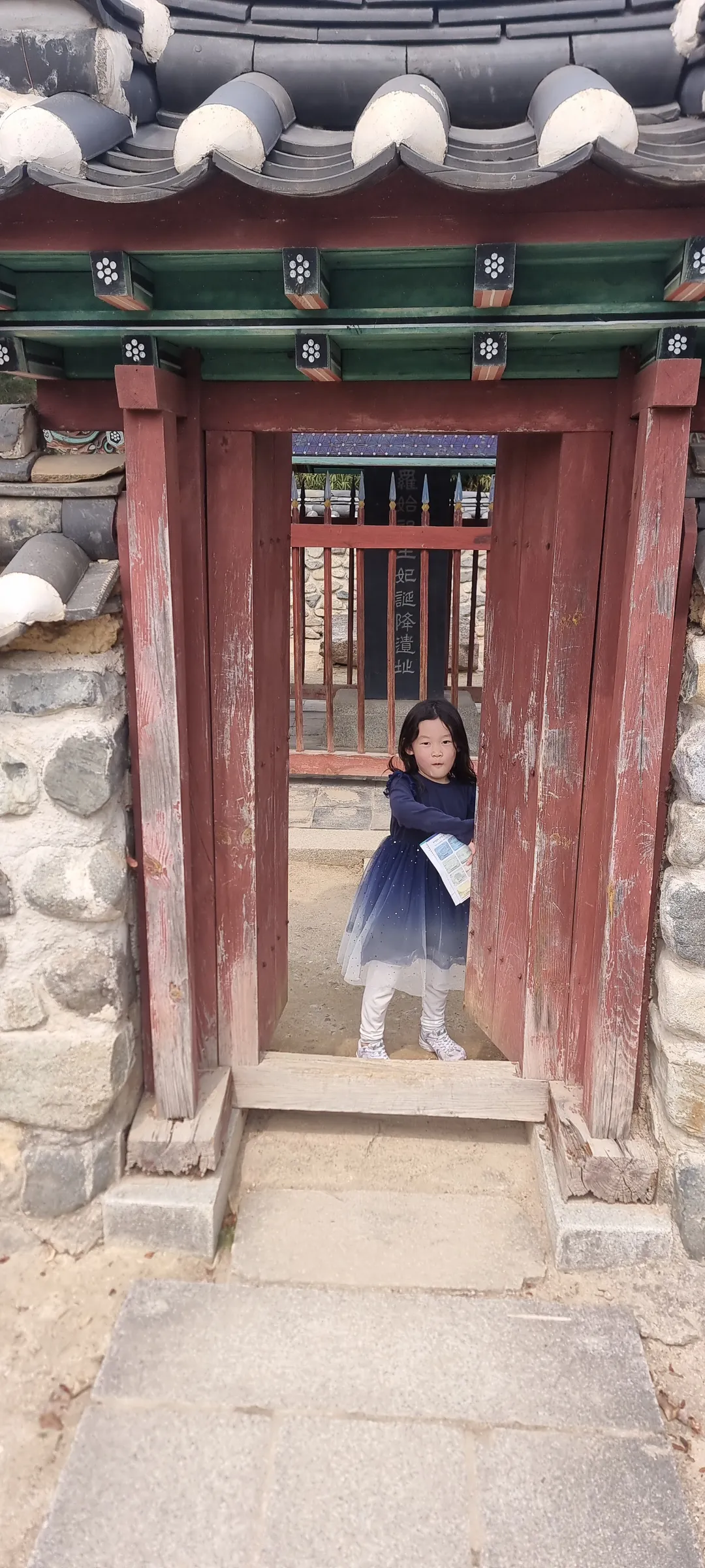 경주 오릉 사진 6