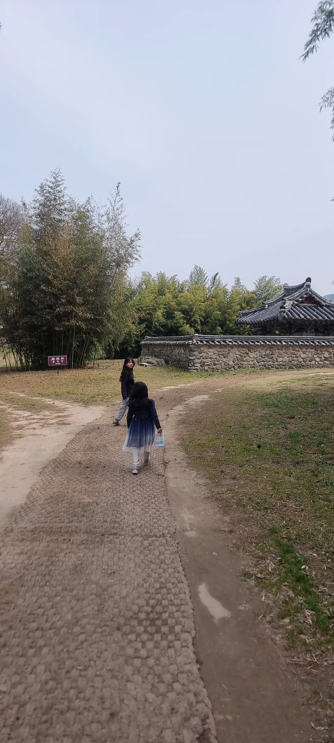 경주 오릉 사진 7