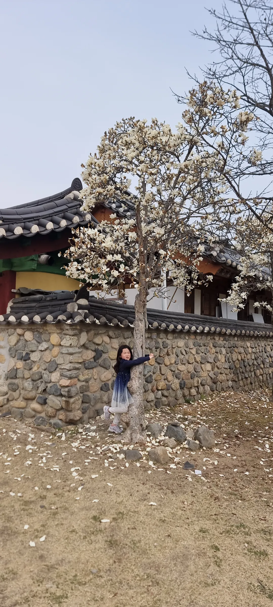 경주 오릉