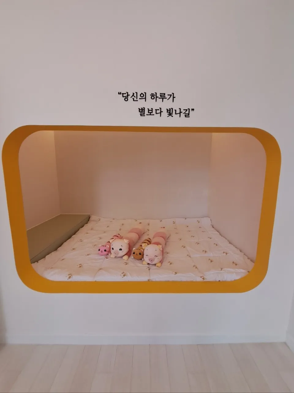 라온아띠 사진 14