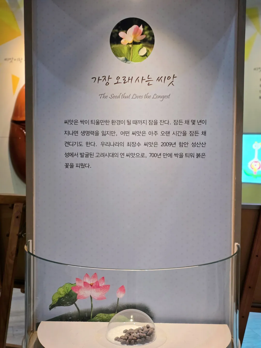 강화농경문화관 사진 11
