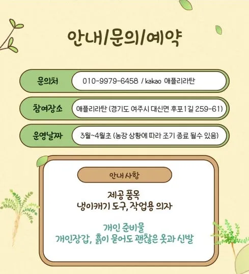 애플리라탄 사진 6