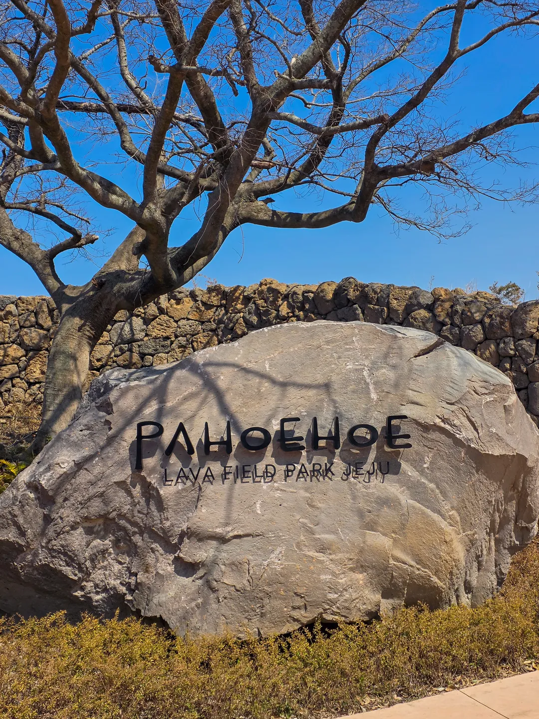 파호이호이 라바필드 파크 제주 사진 18