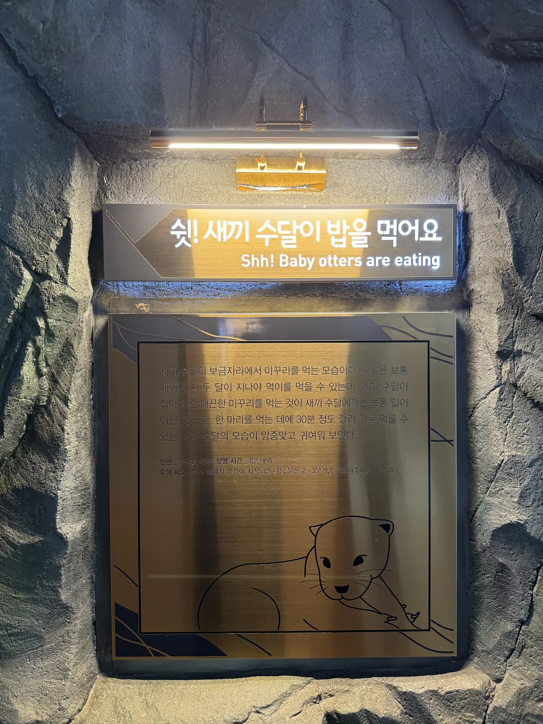 섬진강수달생태공원 사진 6