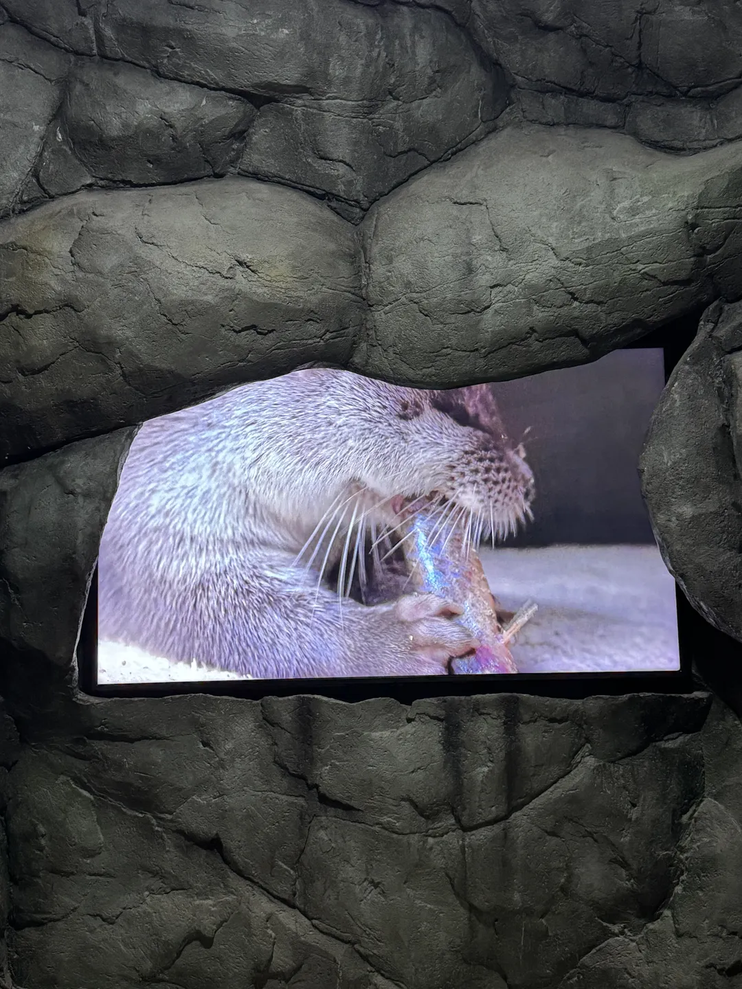 섬진강수달생태공원 사진 7