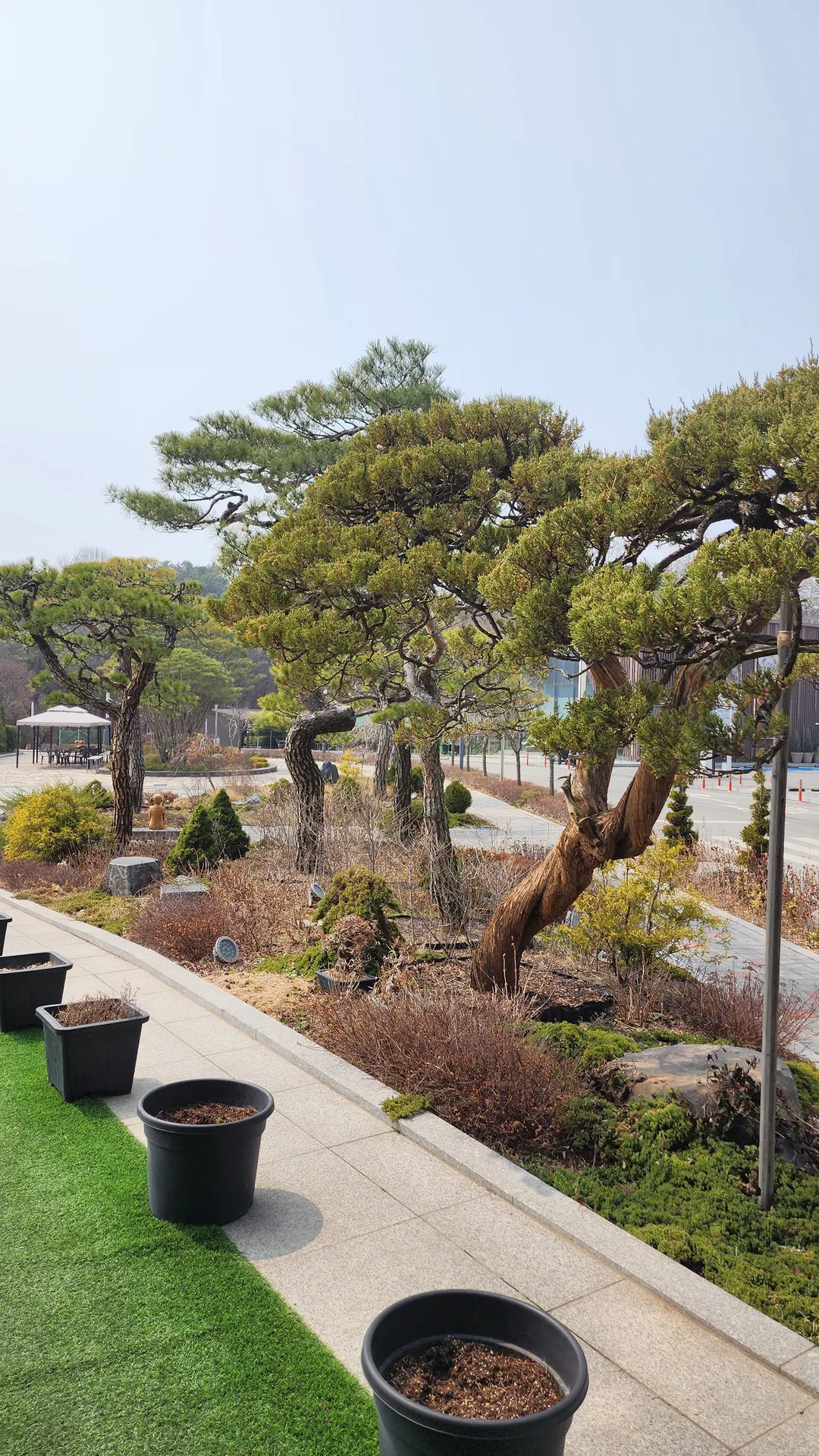 메르오르 본점 사진 6