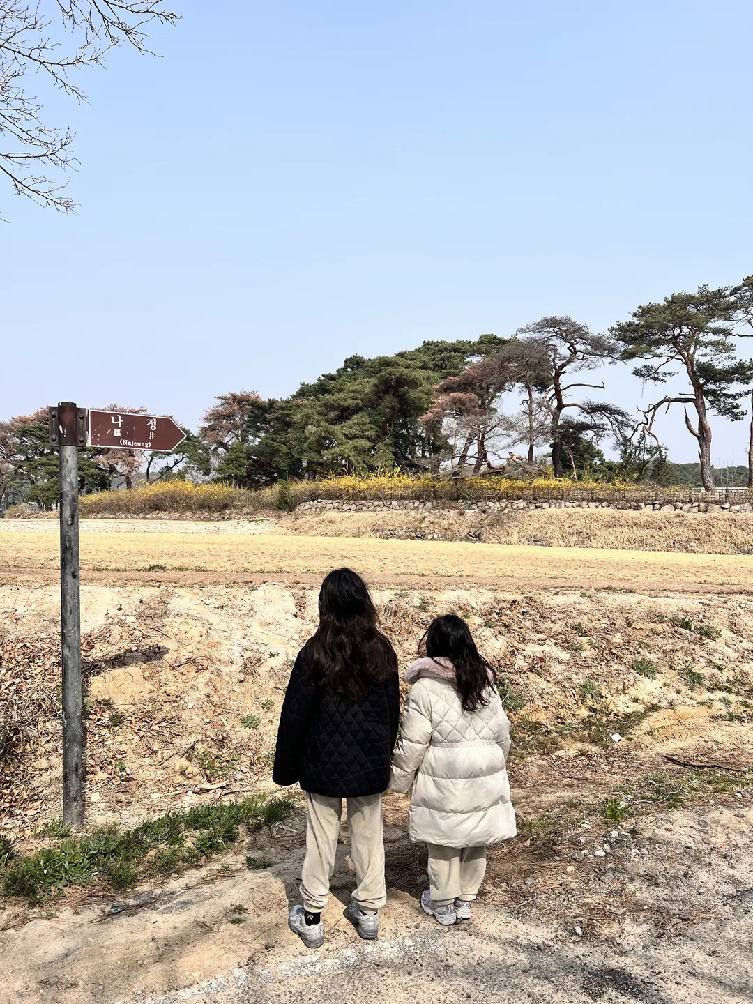 경주 나정