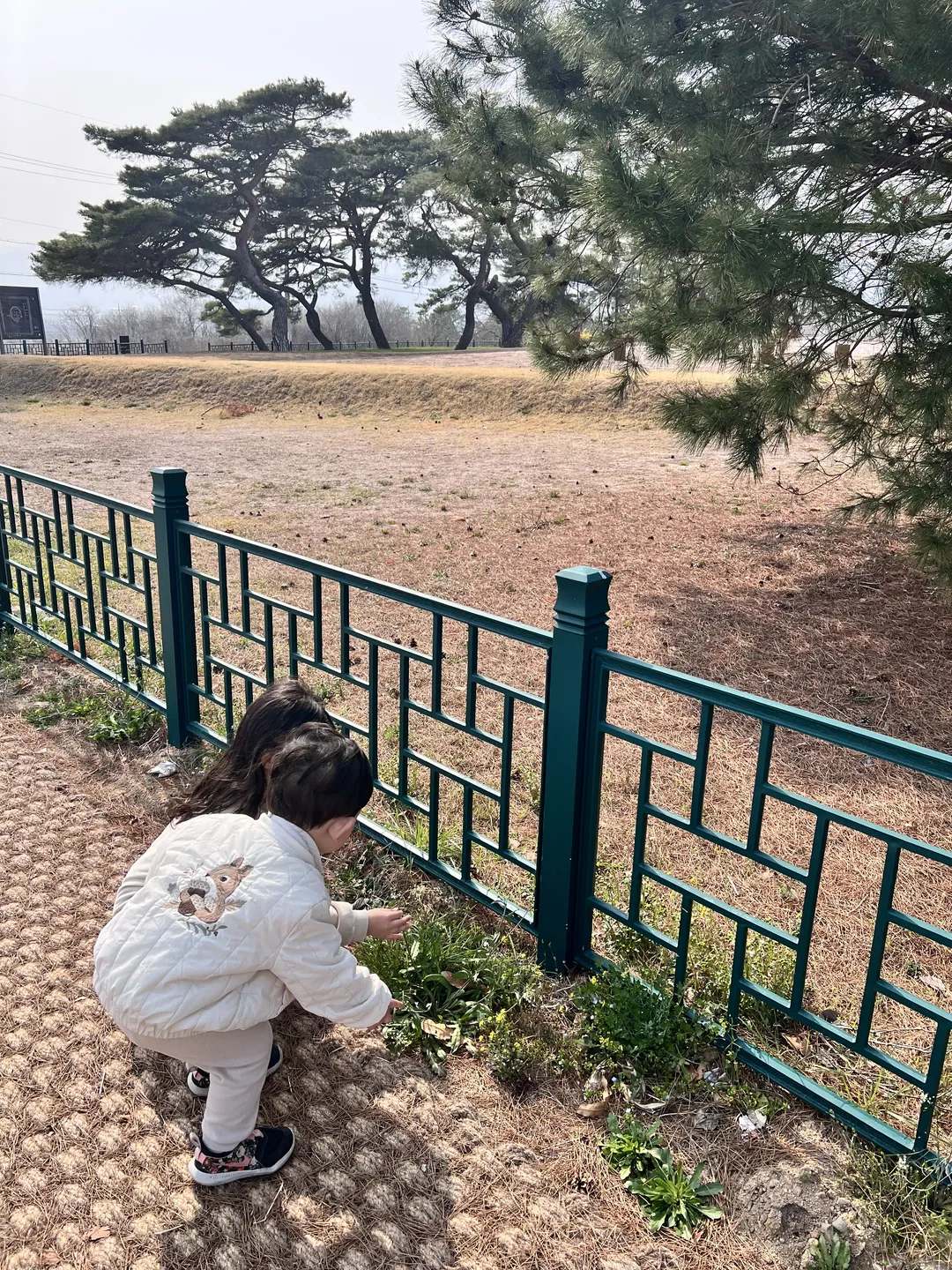 경주 나정 사진 6