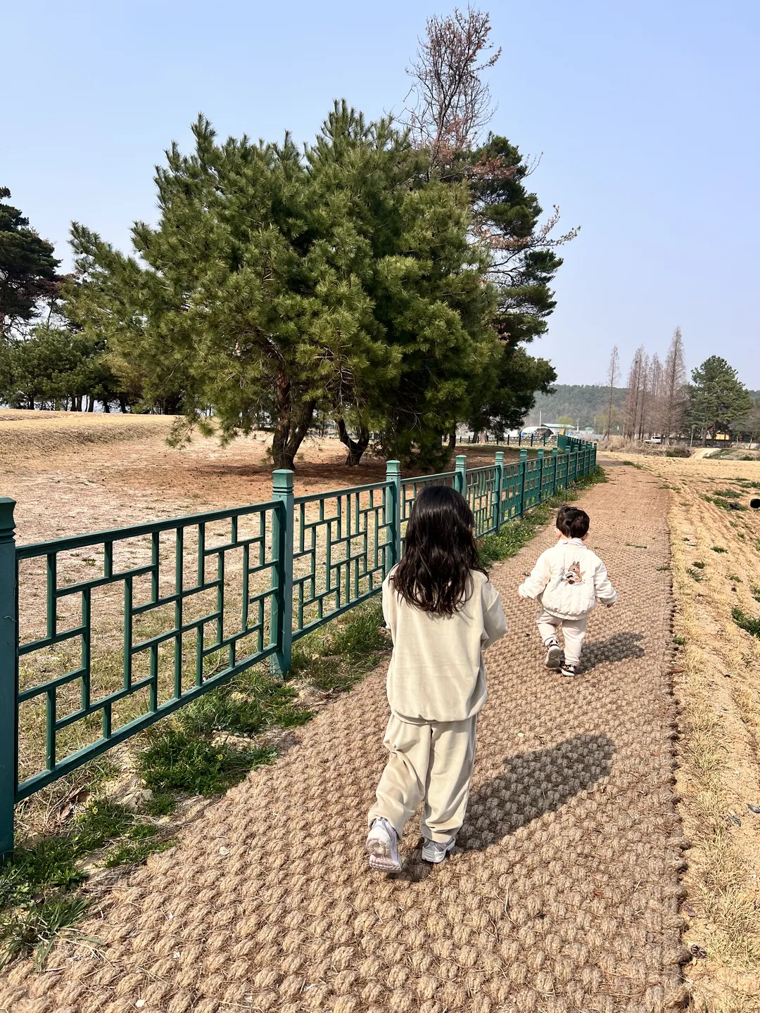 경주 나정