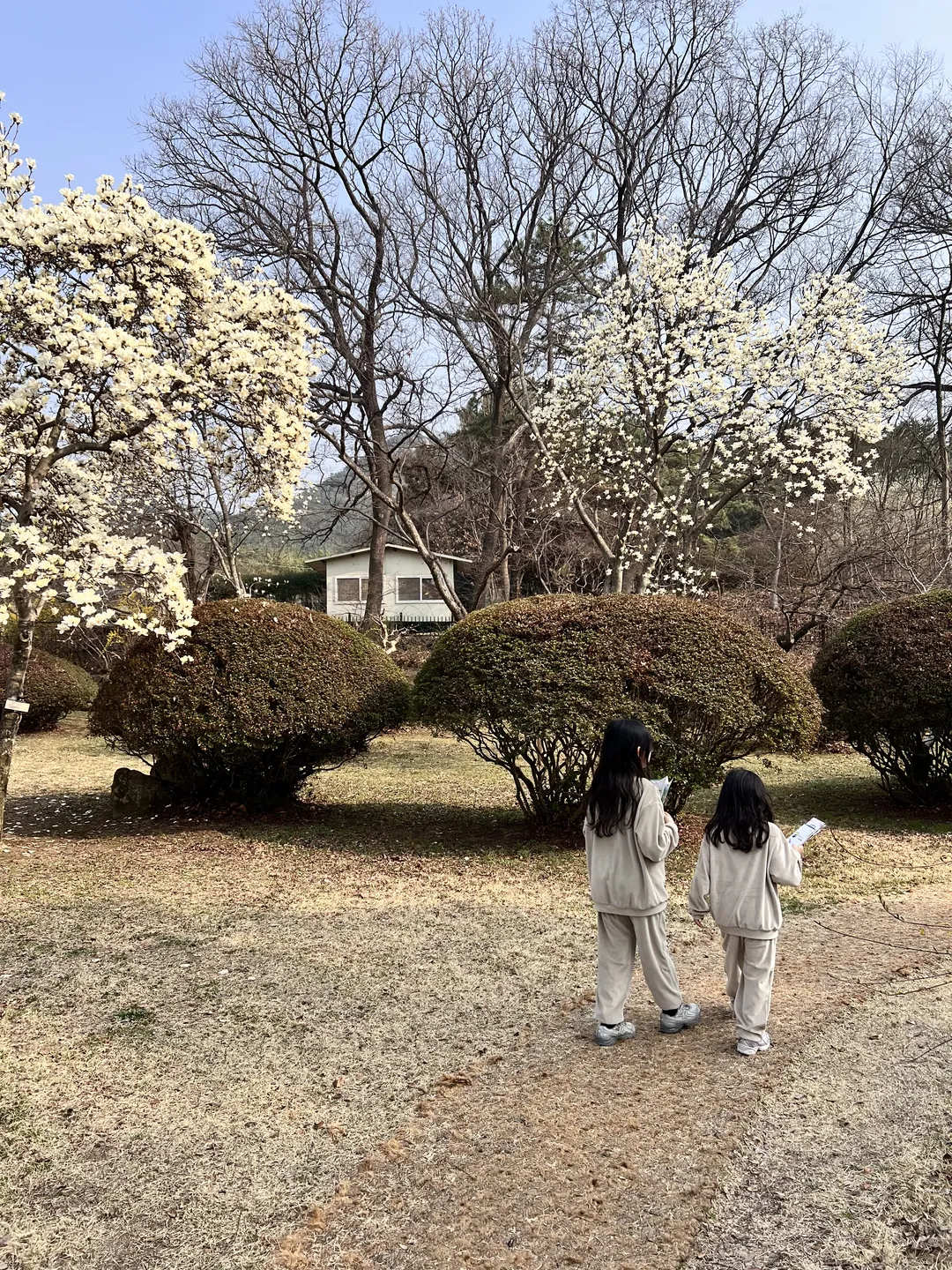 포석정(포석정지 방문자센터)