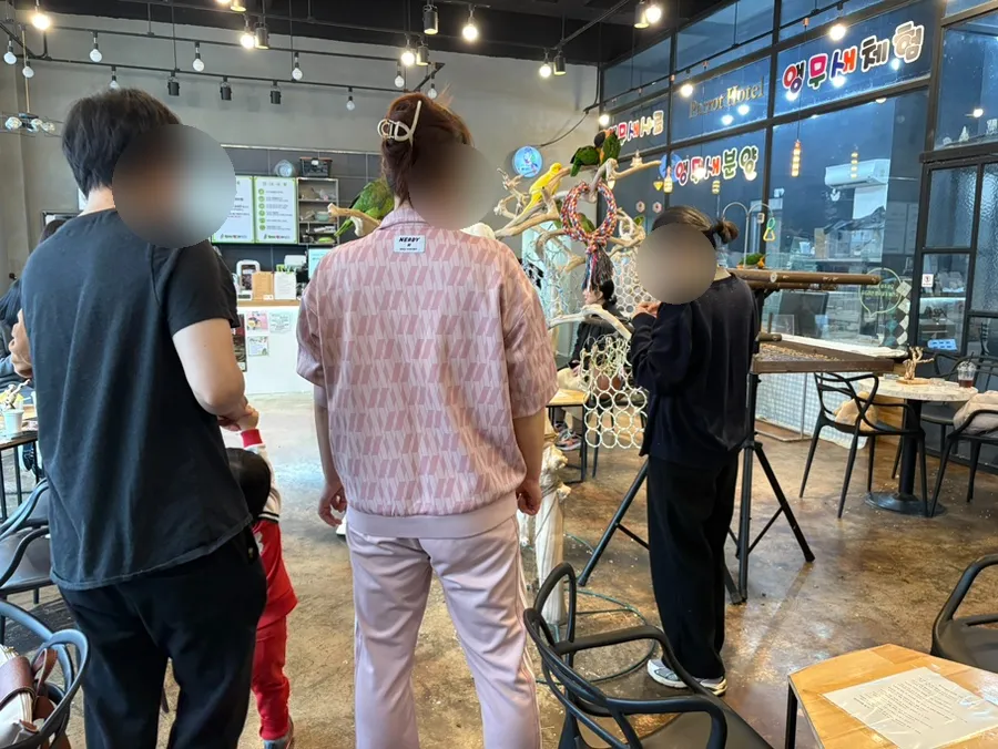 잔디네앵무새카페 사진 9