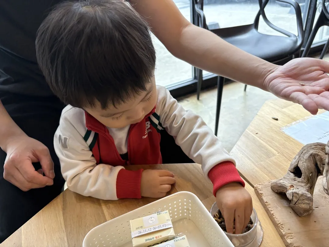 잔디네앵무새카페 사진 6
