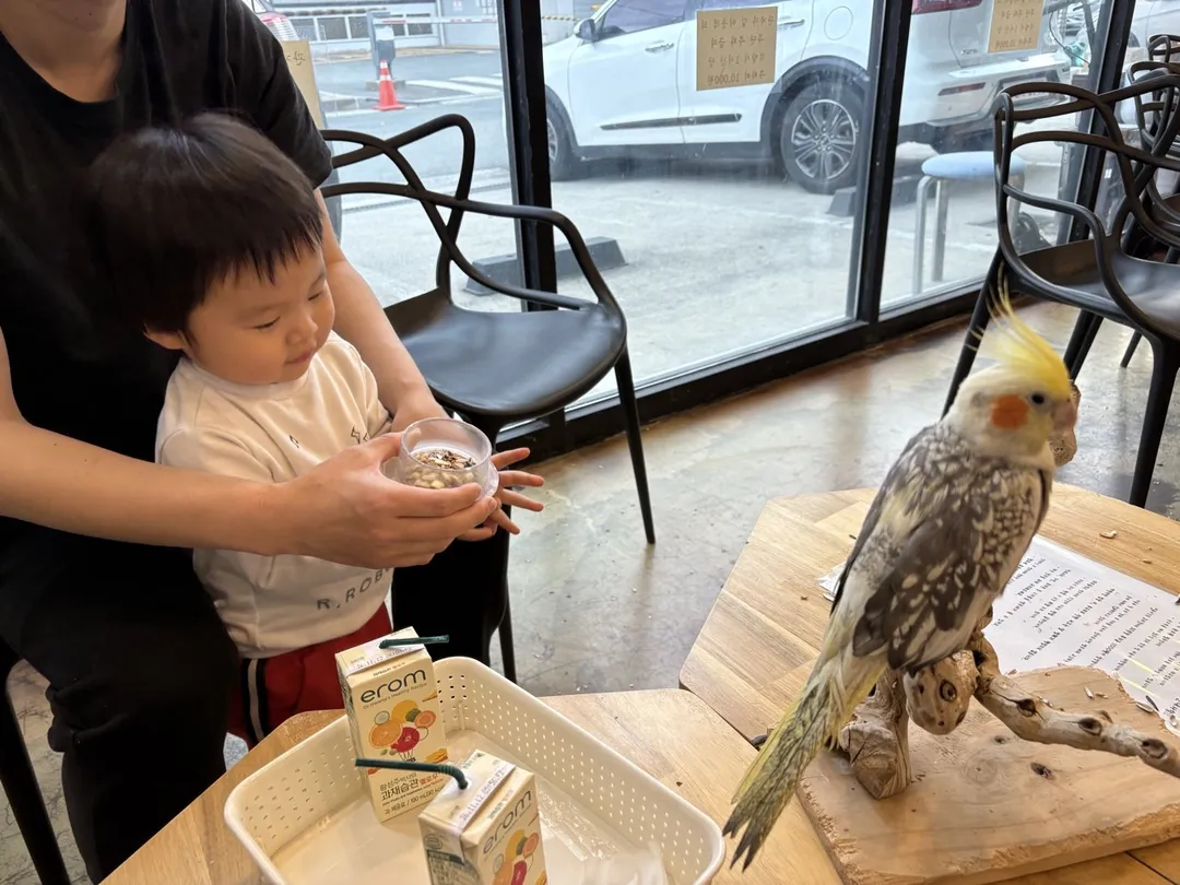 잔디네앵무새카페