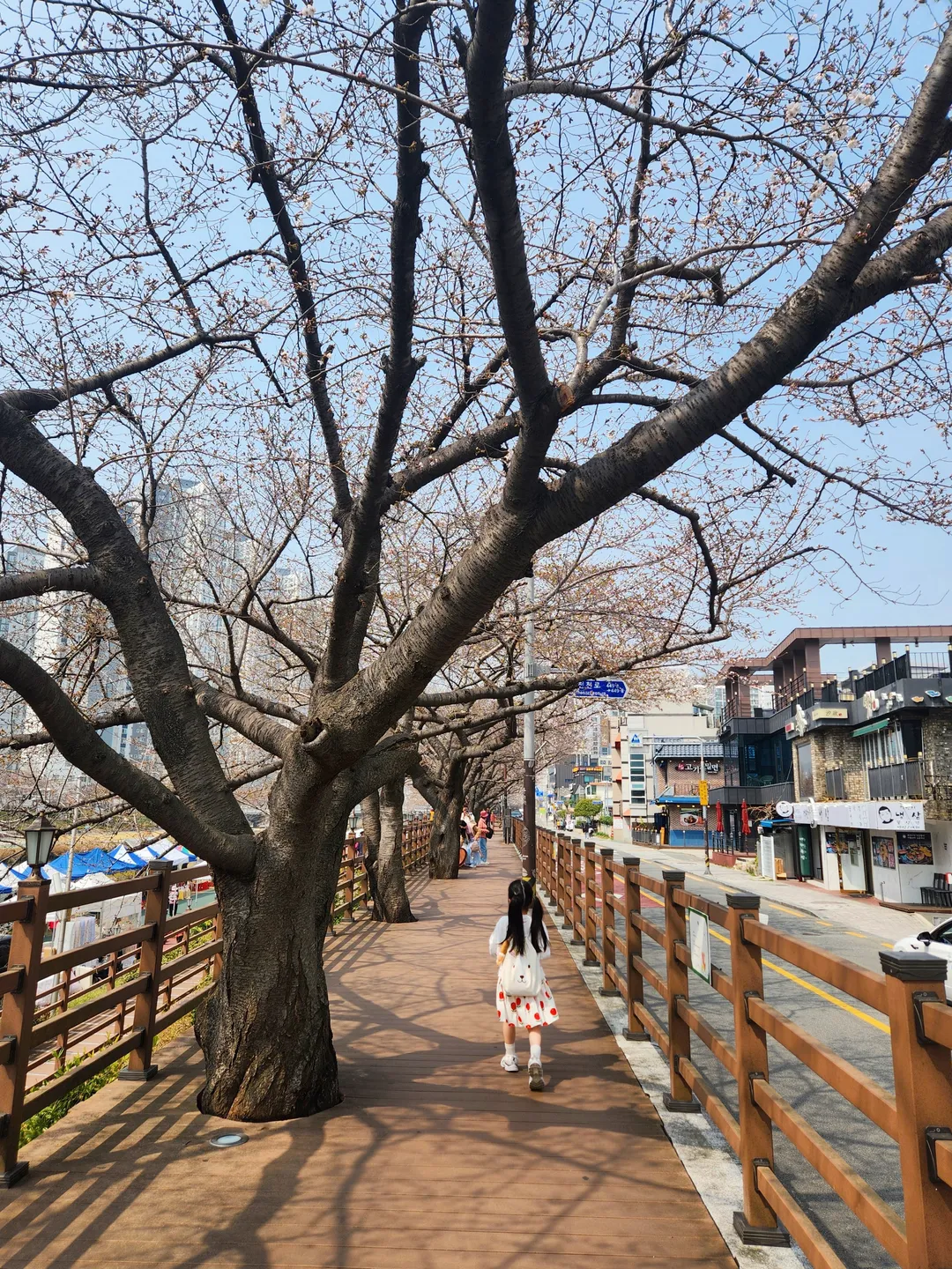 온천천카페거리 사진 10