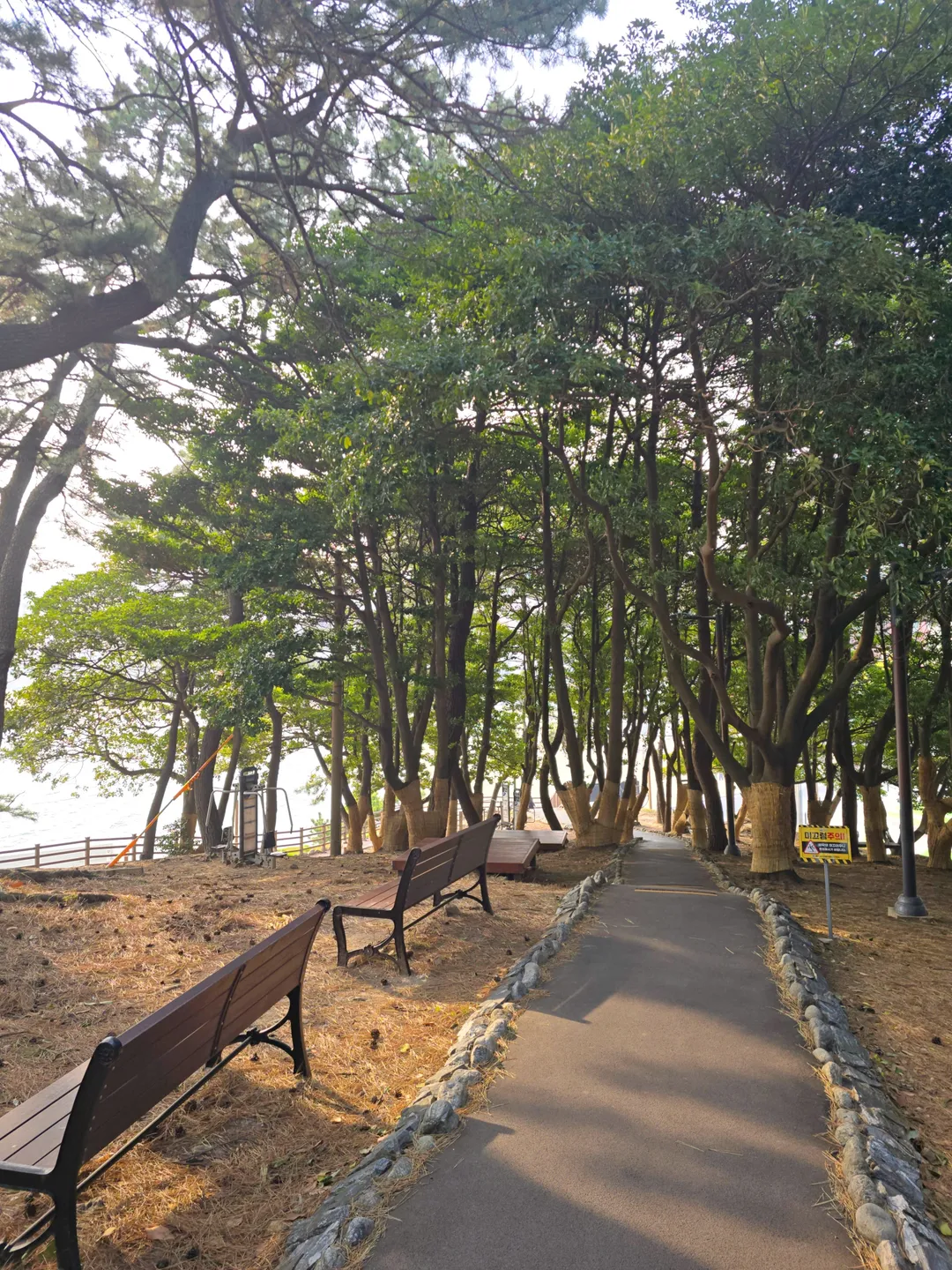 부산 송정해수욕장 사진 8