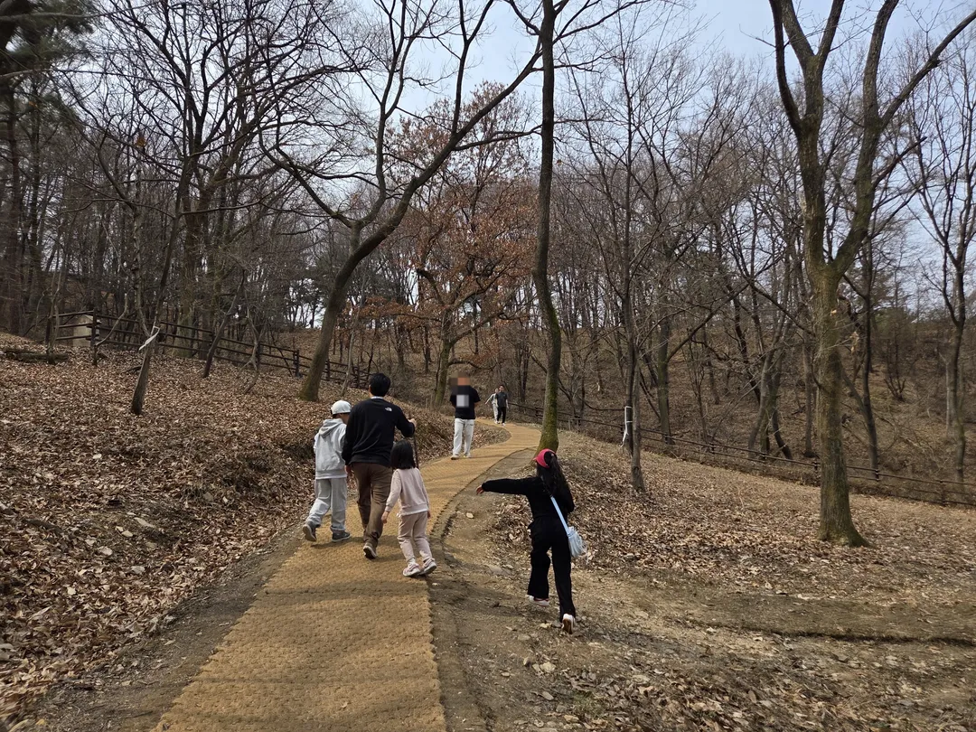 영인산자연휴양림 (영인산유아숲체험원) 사진 6