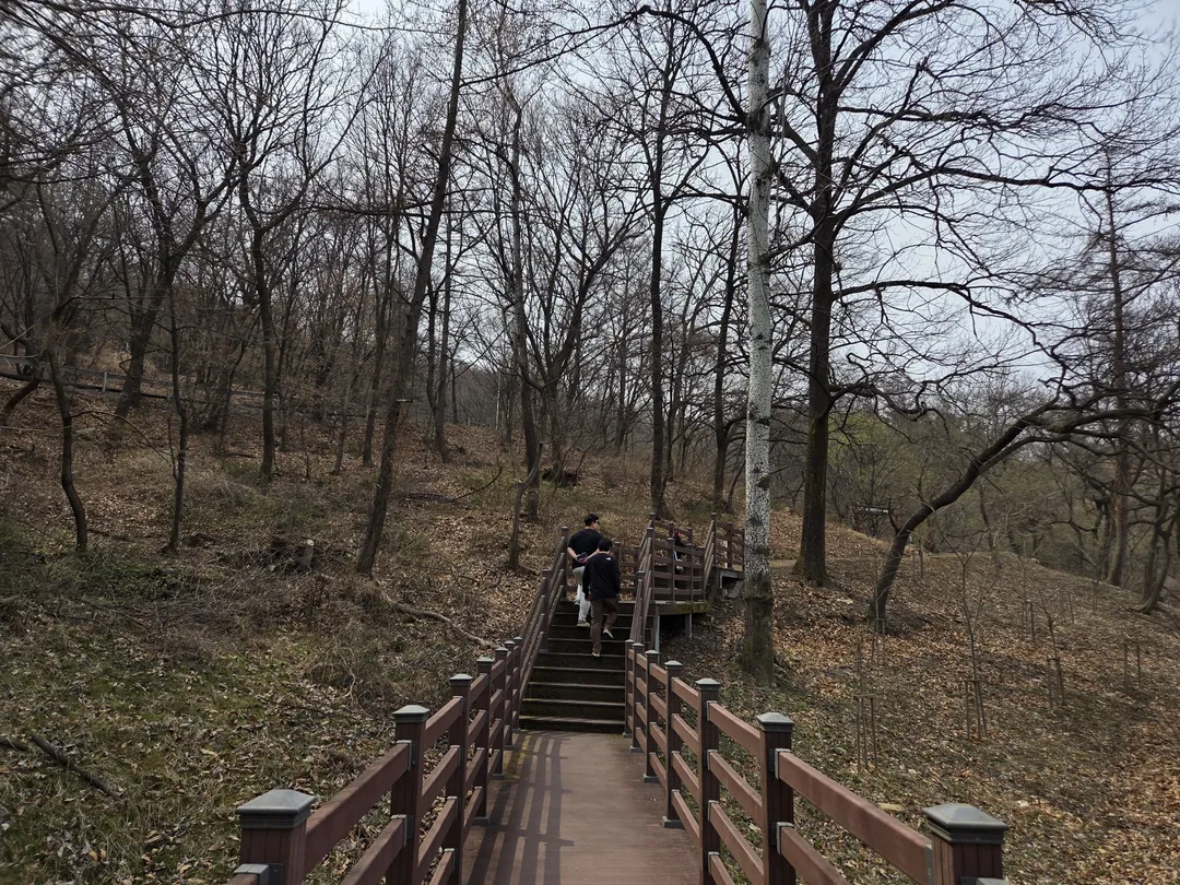 영인산자연휴양림 (영인산유아숲체험원) 사진 11