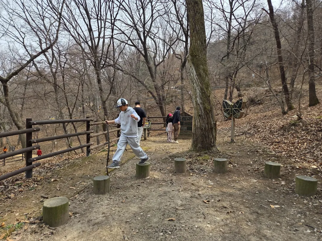 영인산자연휴양림 (영인산유아숲체험원) 사진 7