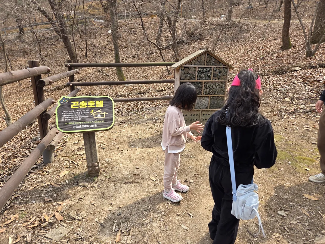 영인산자연휴양림 (영인산유아숲체험원)