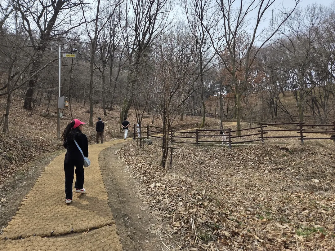 영인산자연휴양림 (영인산유아숲체험원) 사진 14