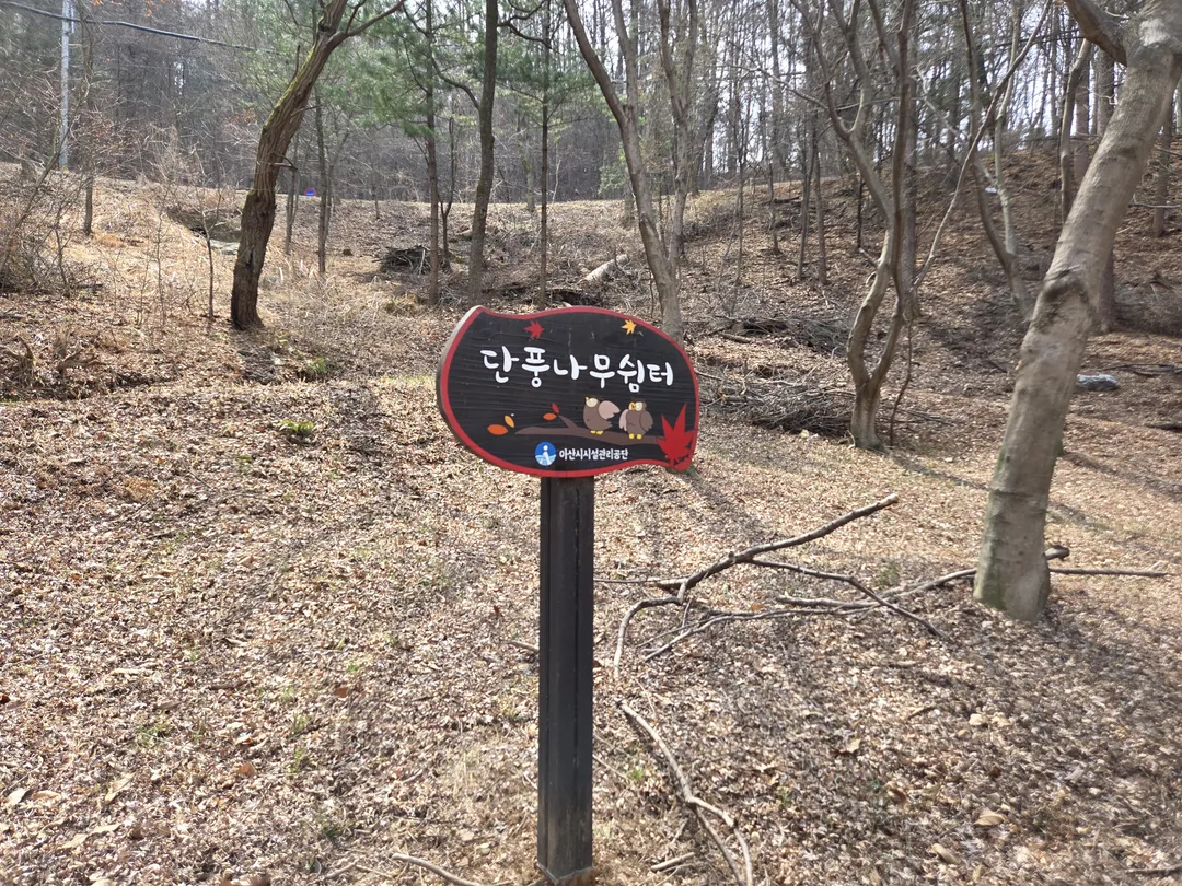 영인산자연휴양림 (영인산유아숲체험원) 사진 18