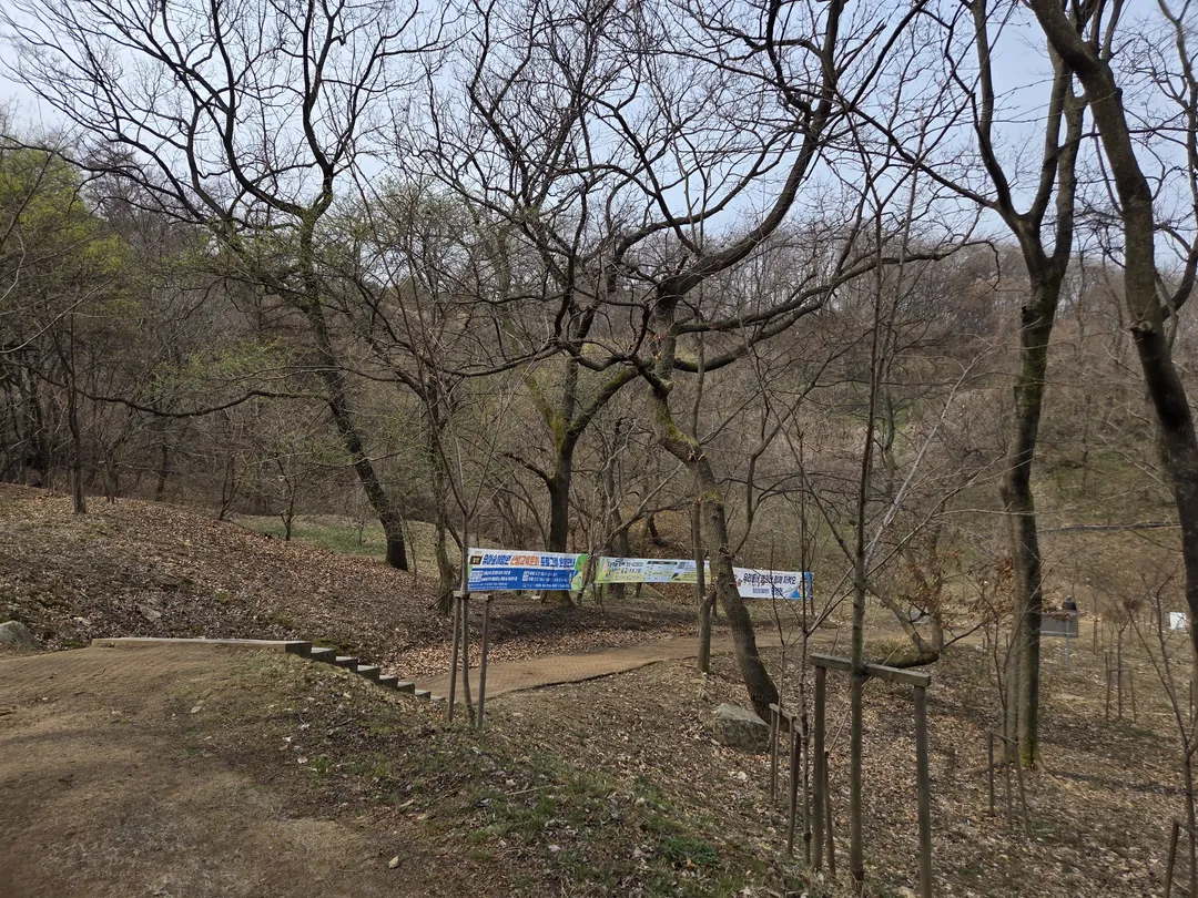 영인산자연휴양림 (영인산유아숲체험원) 사진 12