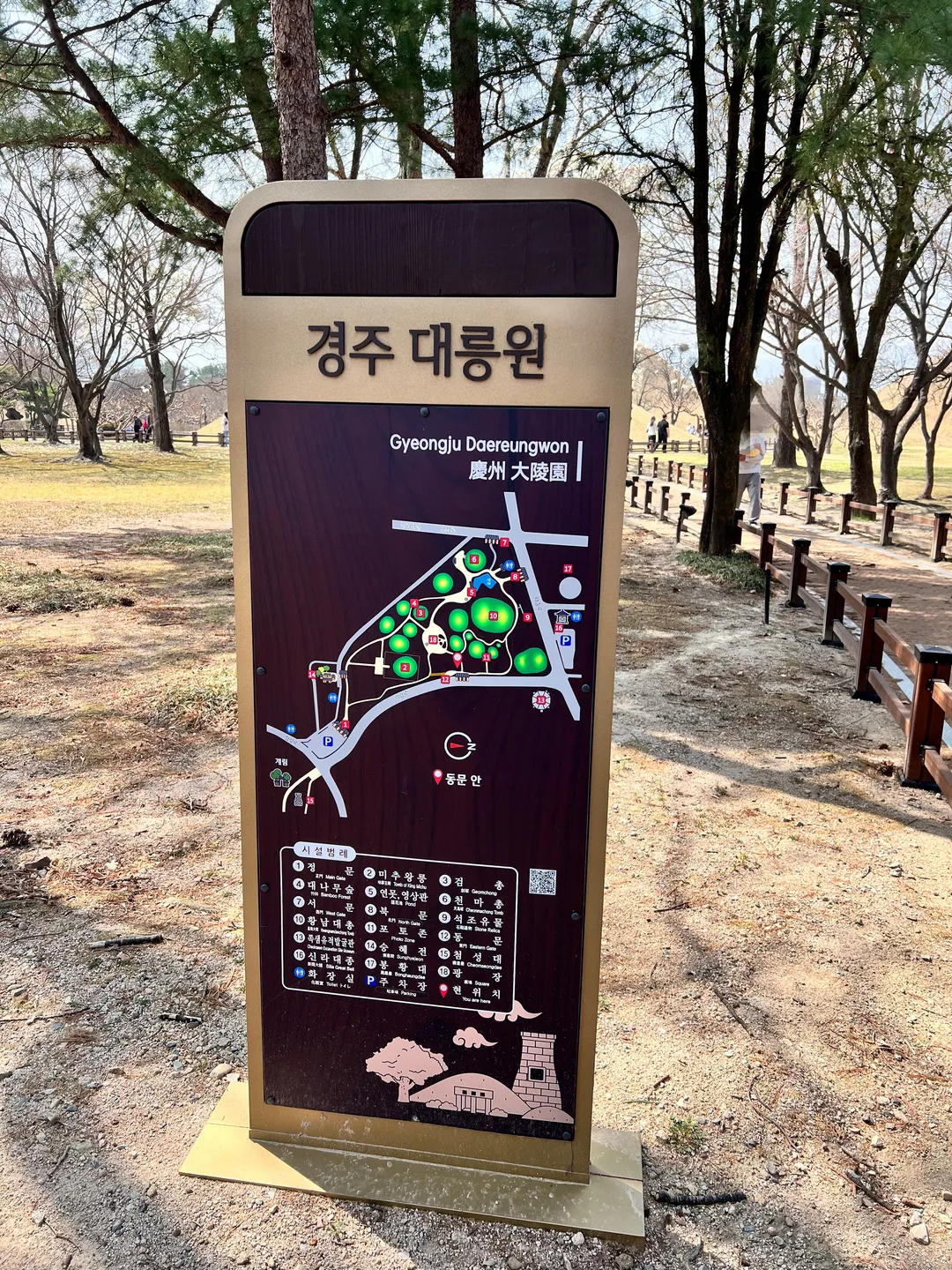 慶州大陵苑 写真 17