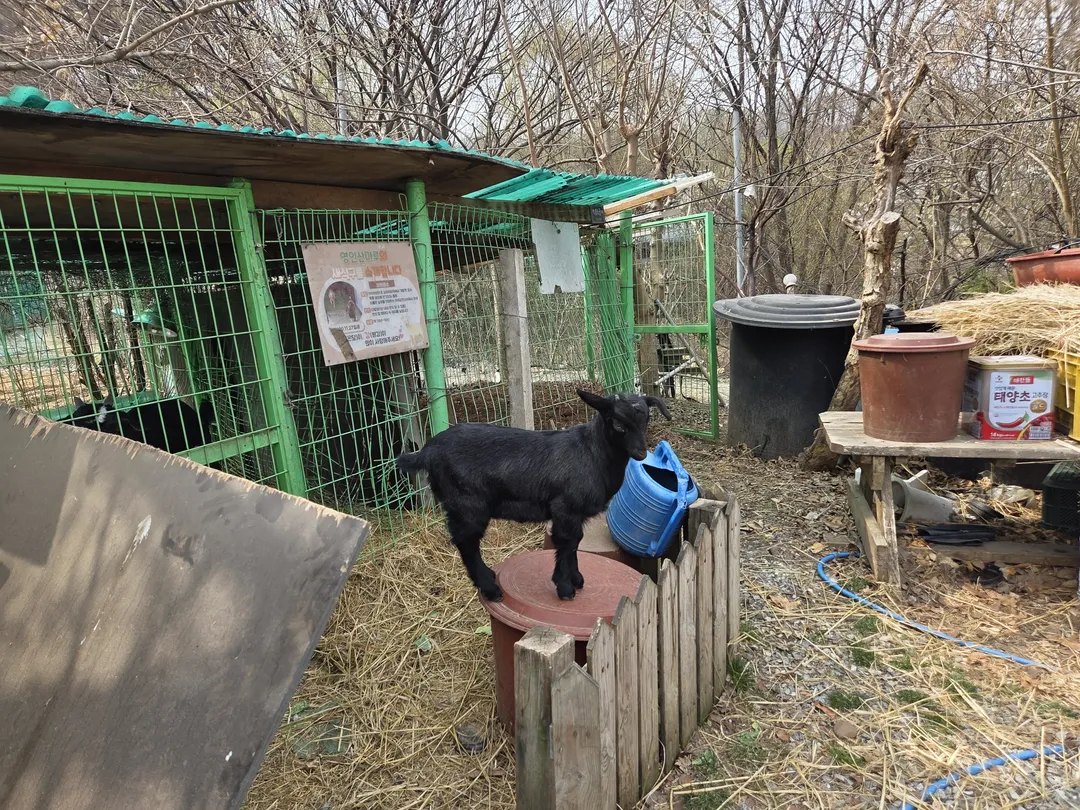 영인산마루 사진 6