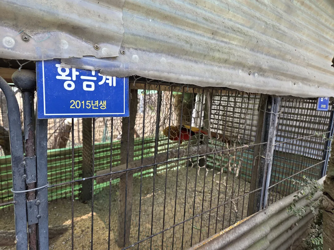 영인산마루 사진 9