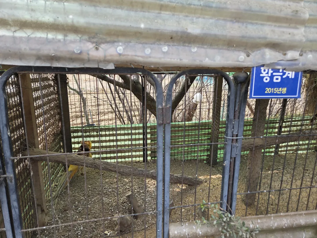 영인산마루 사진 7