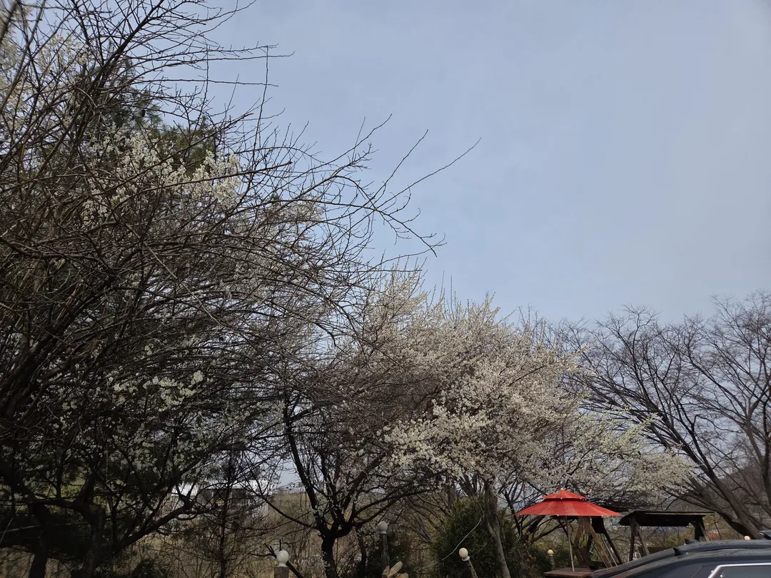 영인산마루 사진 23