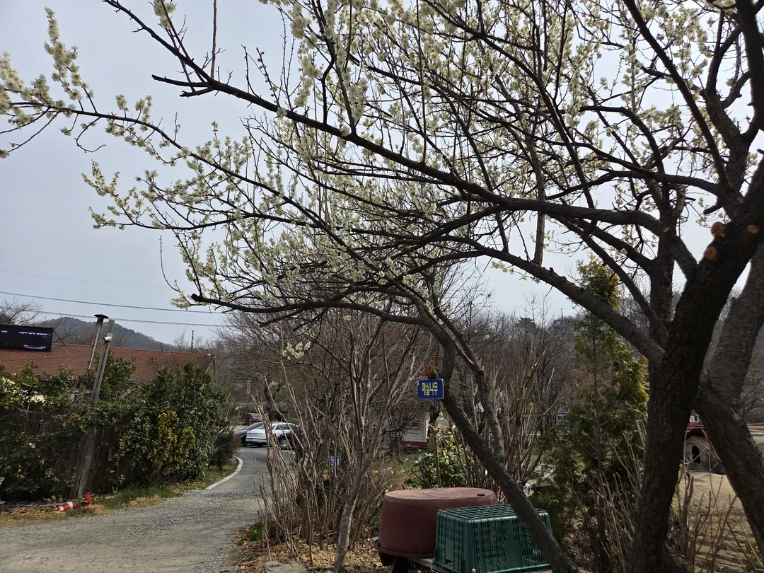 영인산마루 사진 8