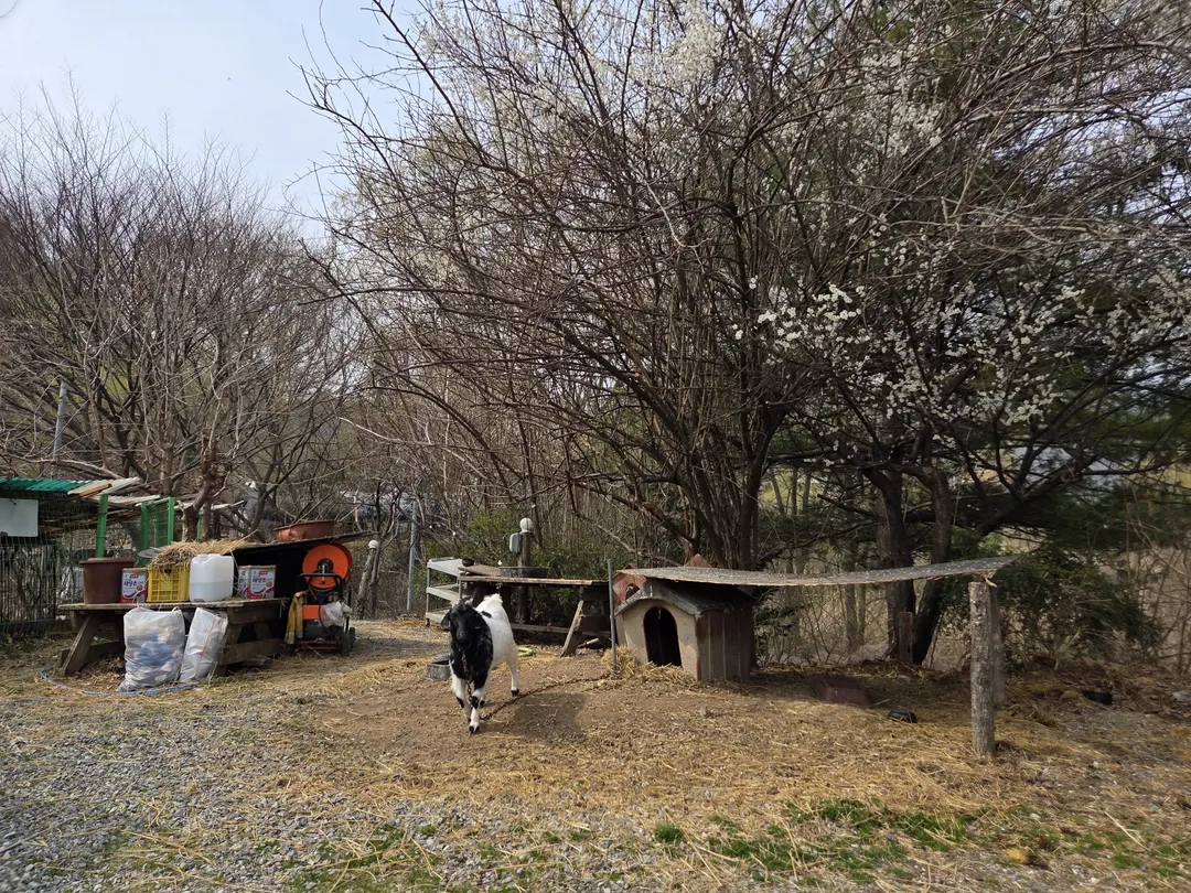 영인산마루