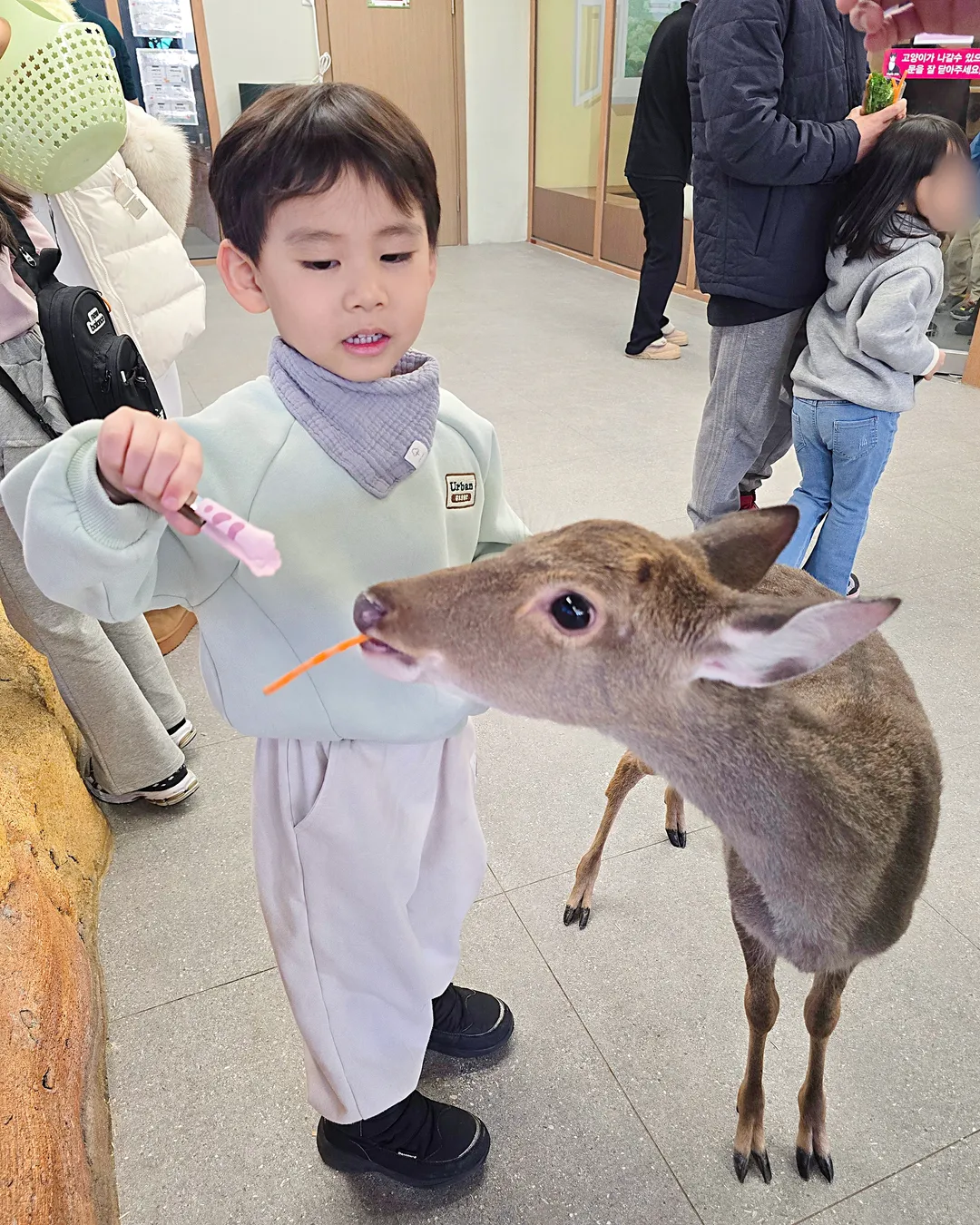 쥬쿠아