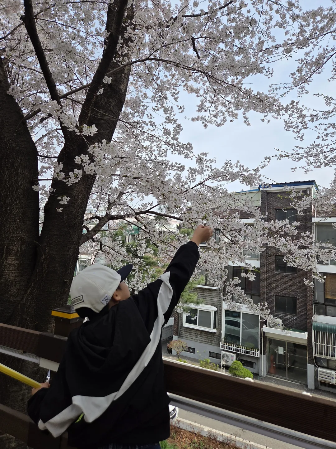 부개동 철길정원 사진 19