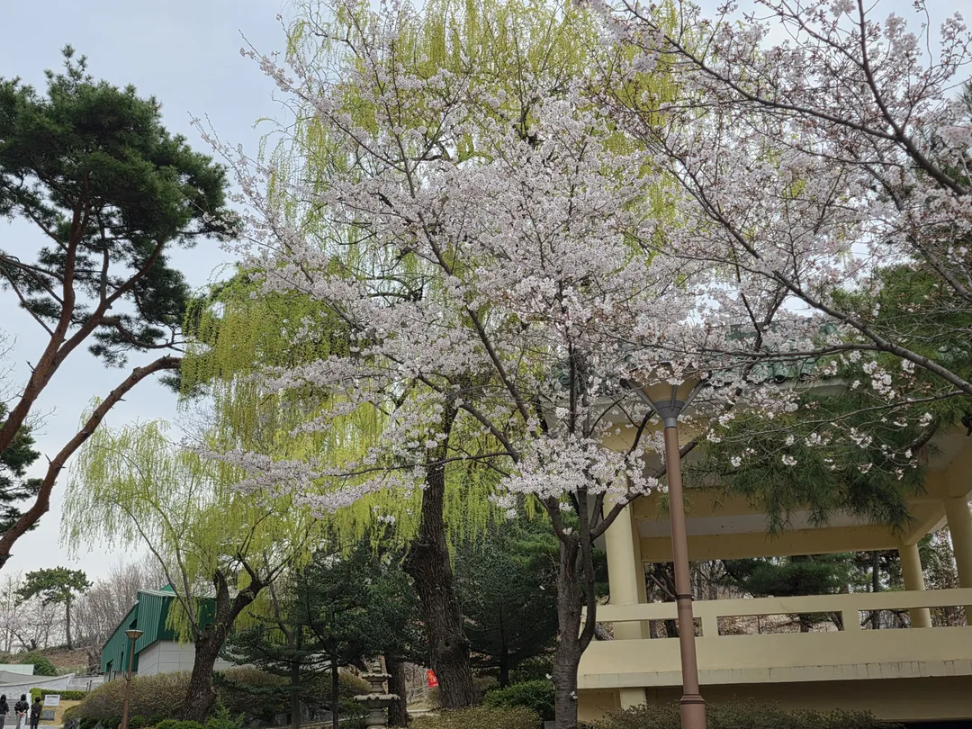 포항덕수공원 사진 8