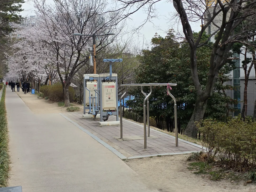 포항덕수공원 사진 6