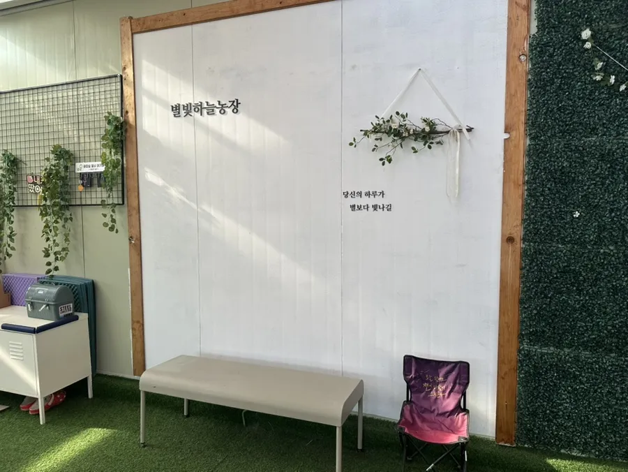 별빛하늘 딸기 농장 사진 9