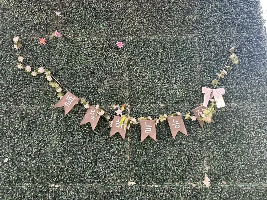 별빛하늘 딸기 농장 사진 8