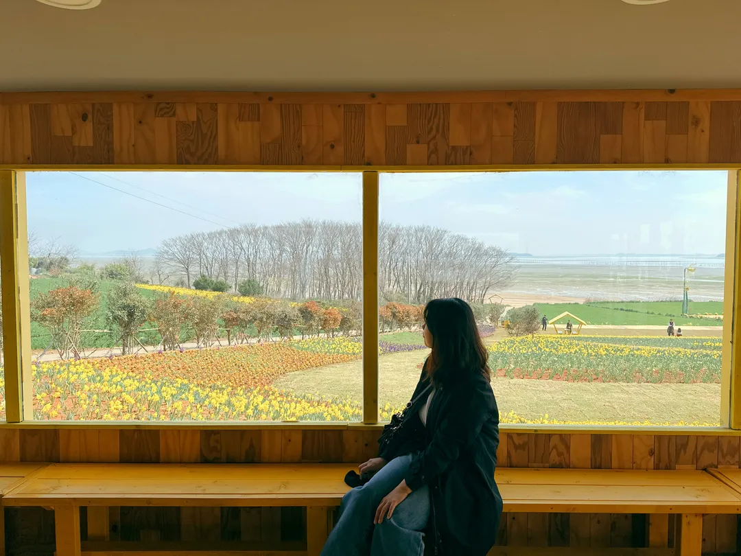 신안 선도