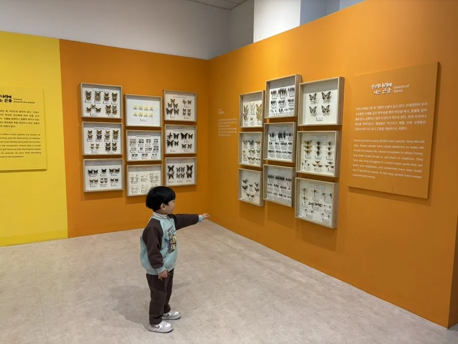 江華自然史博物館 写真 13