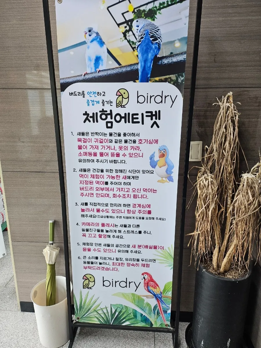 앵무새카페 버드리 사진 21