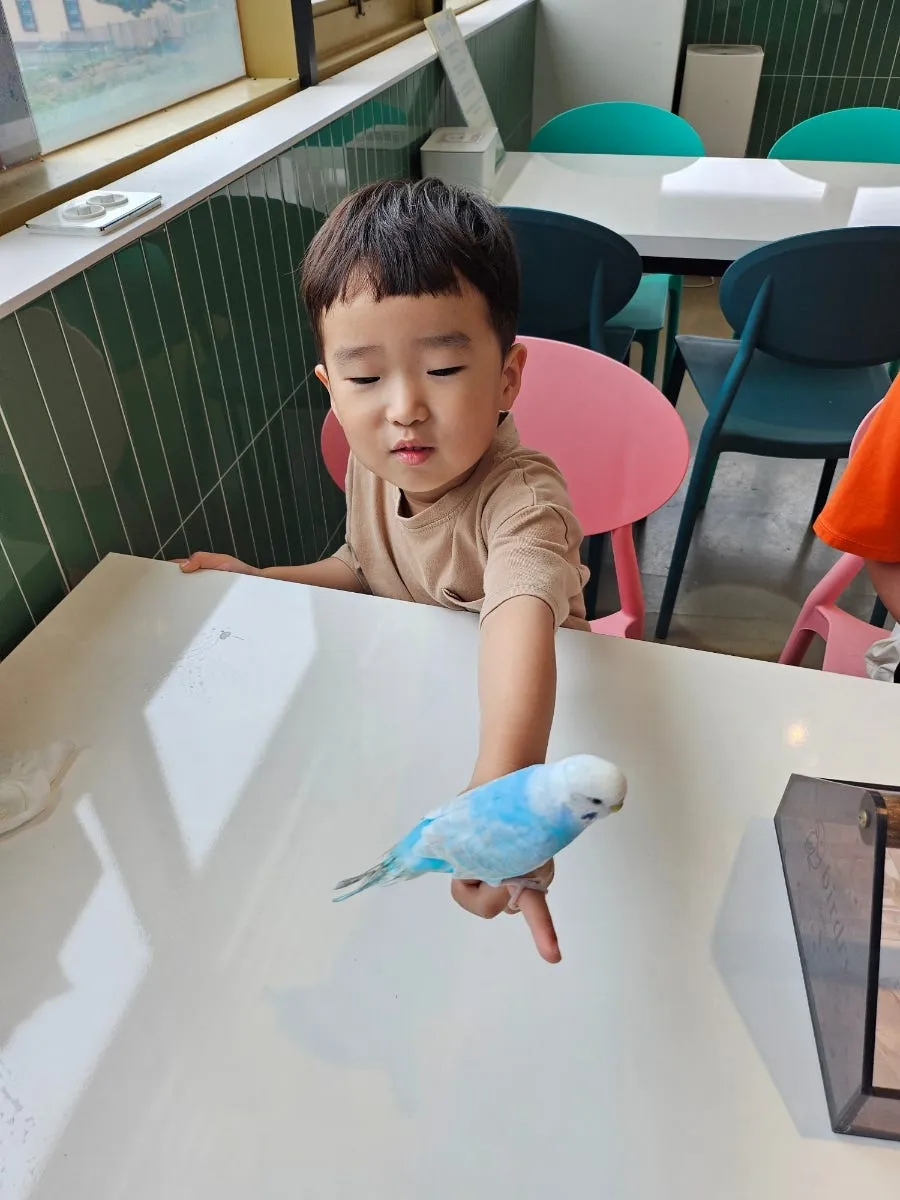 앵무새카페 버드리 사진 7