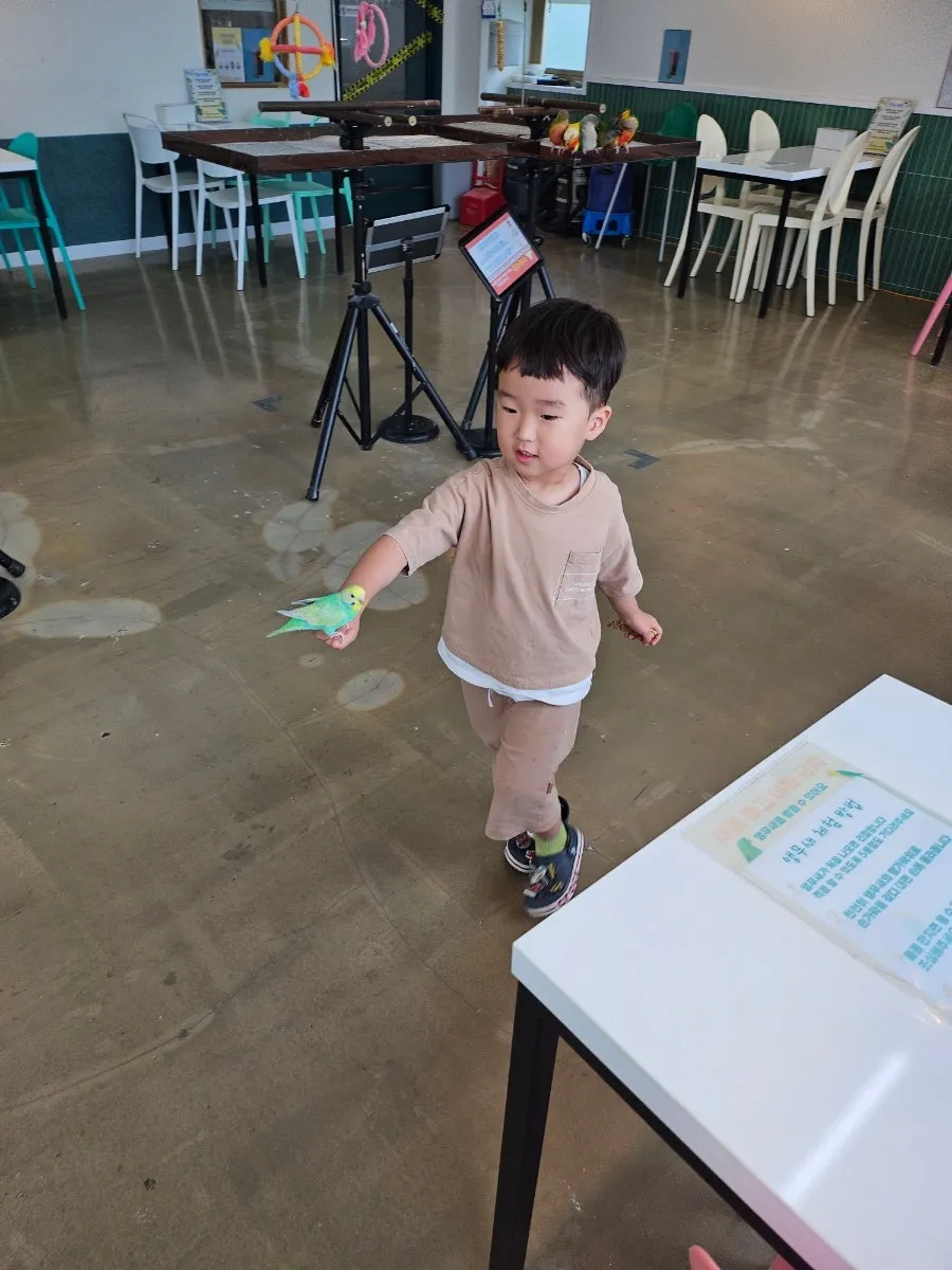 앵무새카페 버드리 사진 8