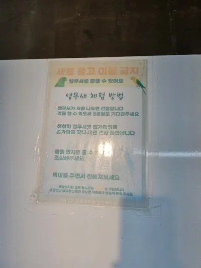 앵무새카페 버드리 사진 20