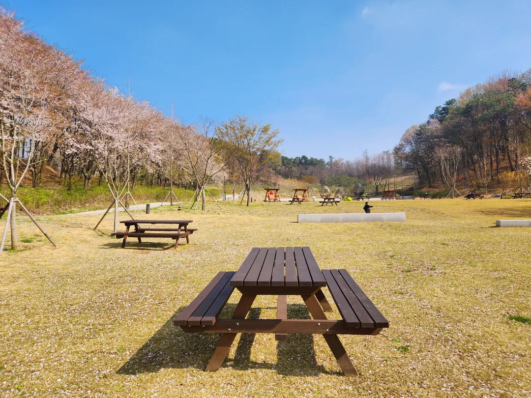 석정근린공원 사진 8