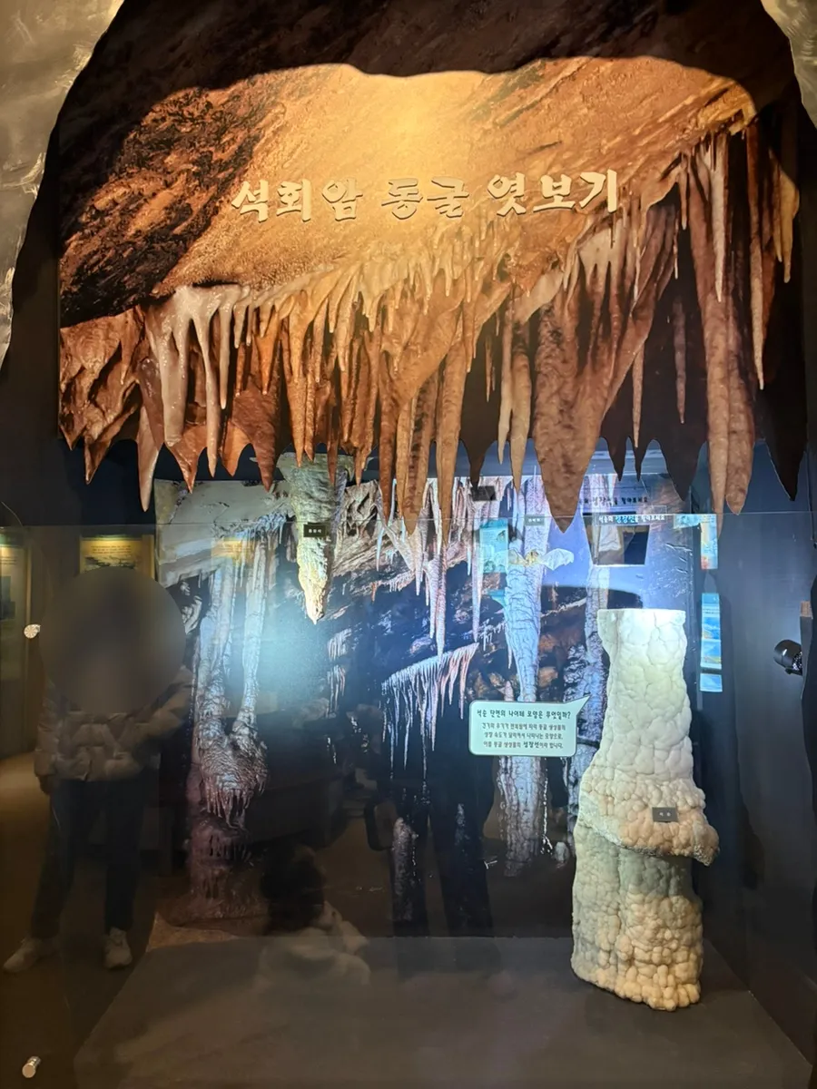 서대문자연사박물관 사진 12