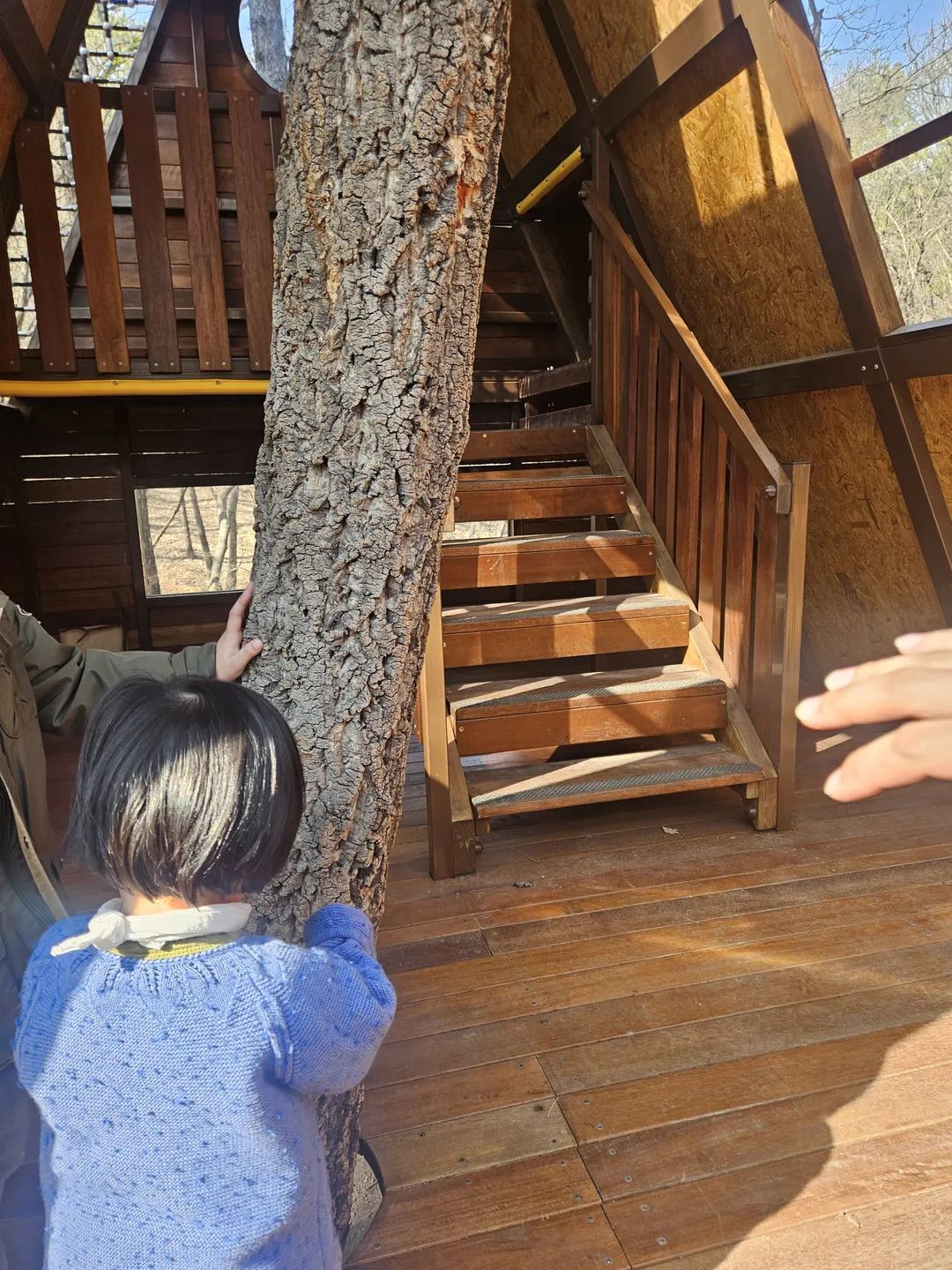 수락산 유아숲체험장 사진 8